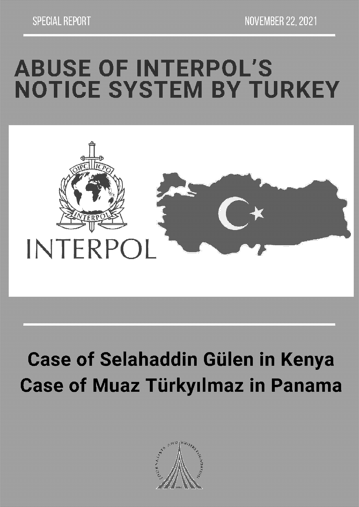 interpol passport red notice